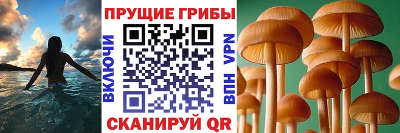 купить наркотик  Артём  Галлюциногенные грибы ЛСД 